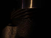 P1010461